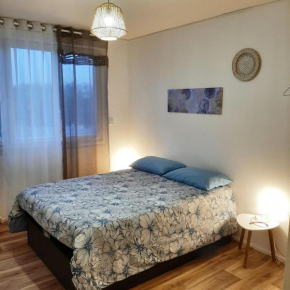 Appartement entier paisible proche Tours